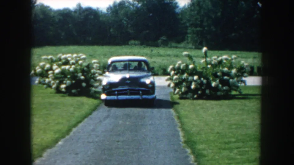 The dark sedan faces the camera from the driveway, framed by lawn, flowering shrubs, and trees in the distance.