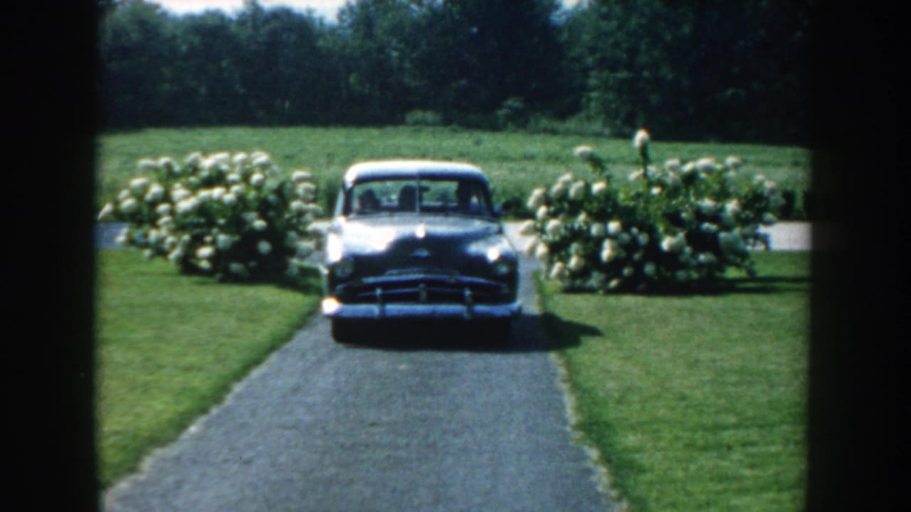 Gray vintage sedan approaching along a garden driveway between green lawns and white flowering shrubs.