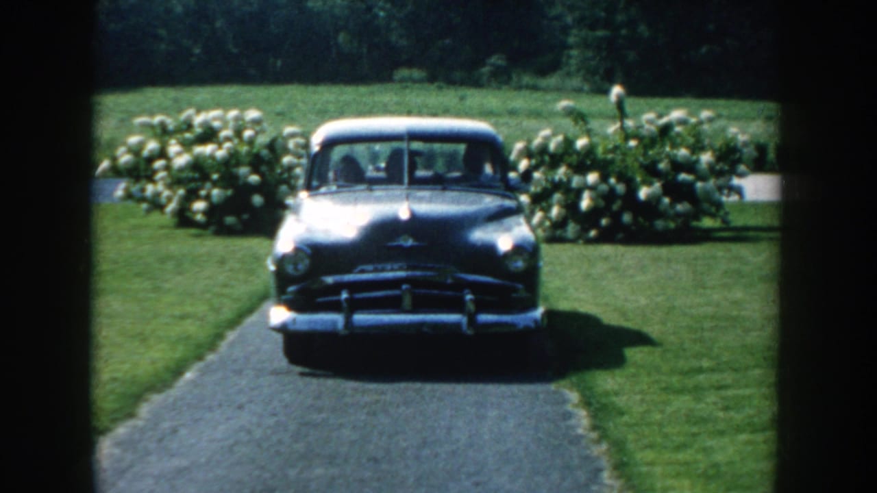 Gray sedan closer to the camera on the driveway with flowering shrubs and lawn behind it.