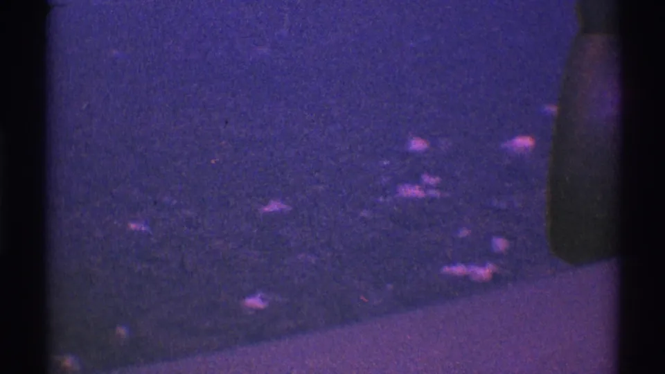 1969 Los Angeles 8mm frame with a vehicle edge at right and scattered nighttime reflections across a dark surface.