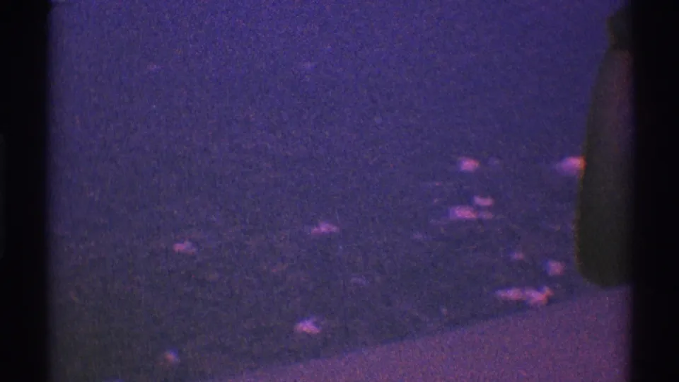 Dark 1969 airplane-window frame over Los Angeles, with grainy purple exposure and faint lights visible below.