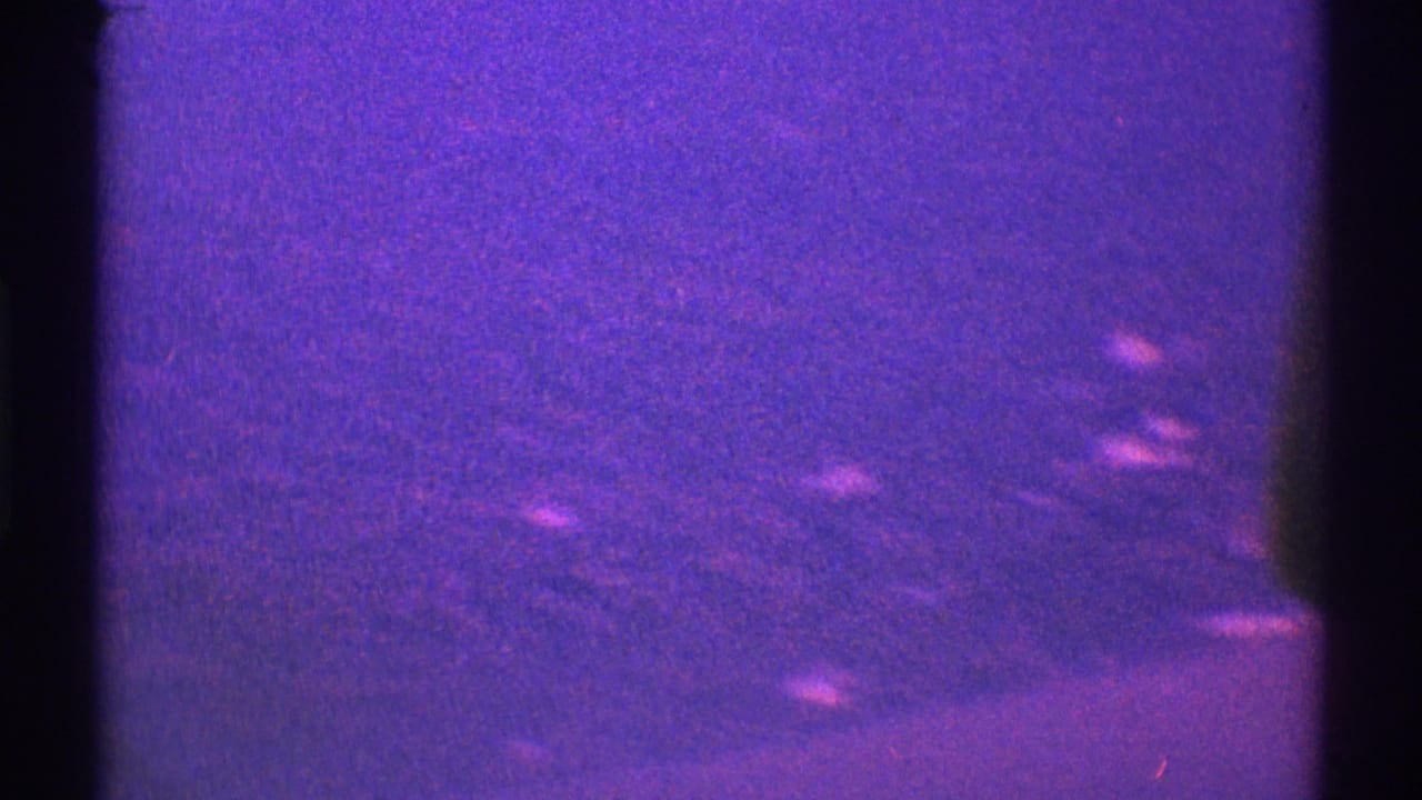 Dark purple night sky with grain, black film edges, and faint light specks.