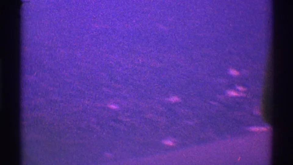 1969 Los Angeles 8mm frame showing a purple-toned night sky with grain, black borders, and faint points of light.