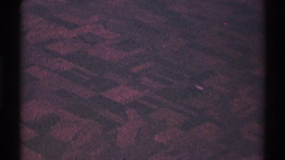 Grainy 1969 8mm frame showing a reddish patterned surface or interior texture beside a dark vertical border.