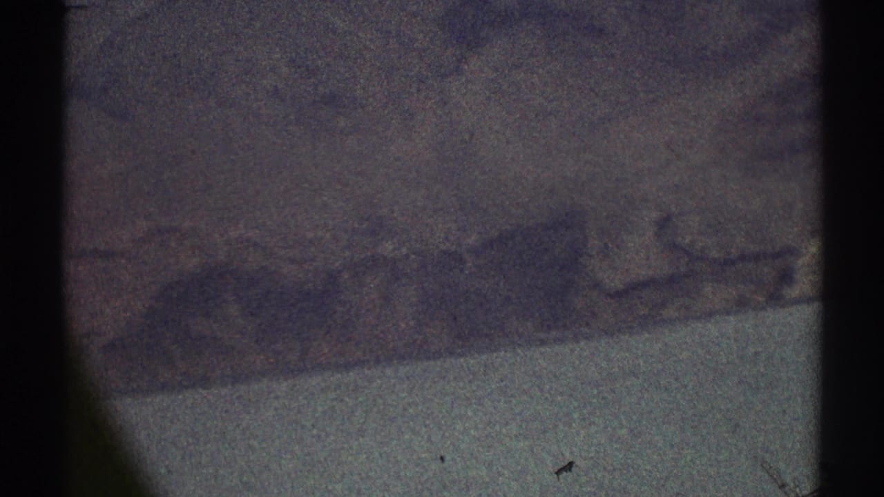 Dark aerial terrain seen through an airplane window with a pale band below.