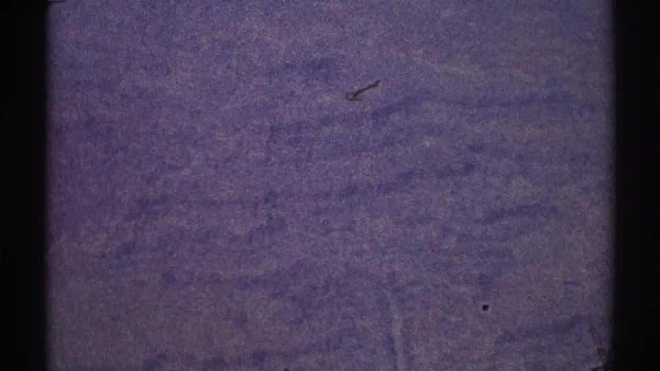 Soft 8mm Los Angeles-area aerial frame showing faint terrain, small dust marks, and no identifiable landmarks.