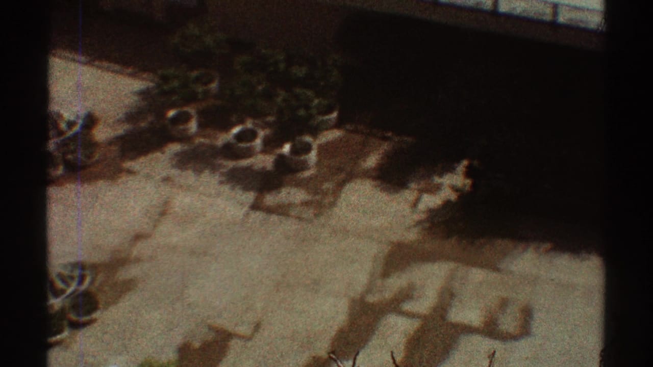 High-angle view of pale courtyard paving, planters, trees, and strong shadows.