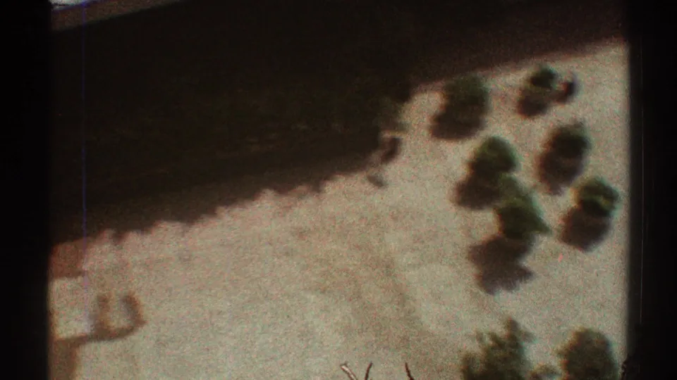 High-angle 1969 Los Angeles courtyard view with pale paving, scattered circular planters, green trees, and heavy shadow across the top.