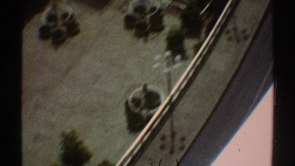 1969 Los Angeles frame looking down at a curved courtyard edge with circular planters, small green trees, and washed sunlit paving.