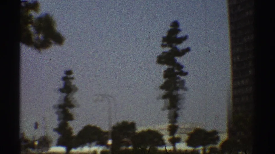 1969 Los Angeles street scene with trees, cars, pale sky, and a dark vertical foreground strip from the film or camera view.