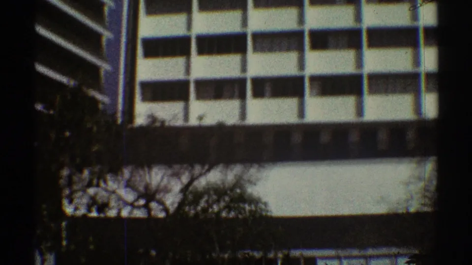 White modern office exterior in Los Angeles, with repetitive window bays and dark tree branches crossing the lower frame.