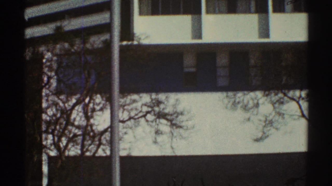 Modernist white building seen behind bare branches and a vertical pole.