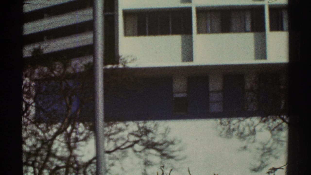 1969 Los Angeles home-movie frame showing part of a white office building behind tree branches and a vertical dark frame edge.
