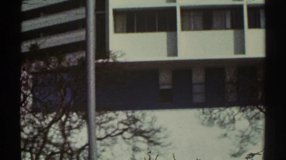 1969 Los Angeles home-movie frame showing part of a white office building behind tree branches and a vertical dark frame edge.