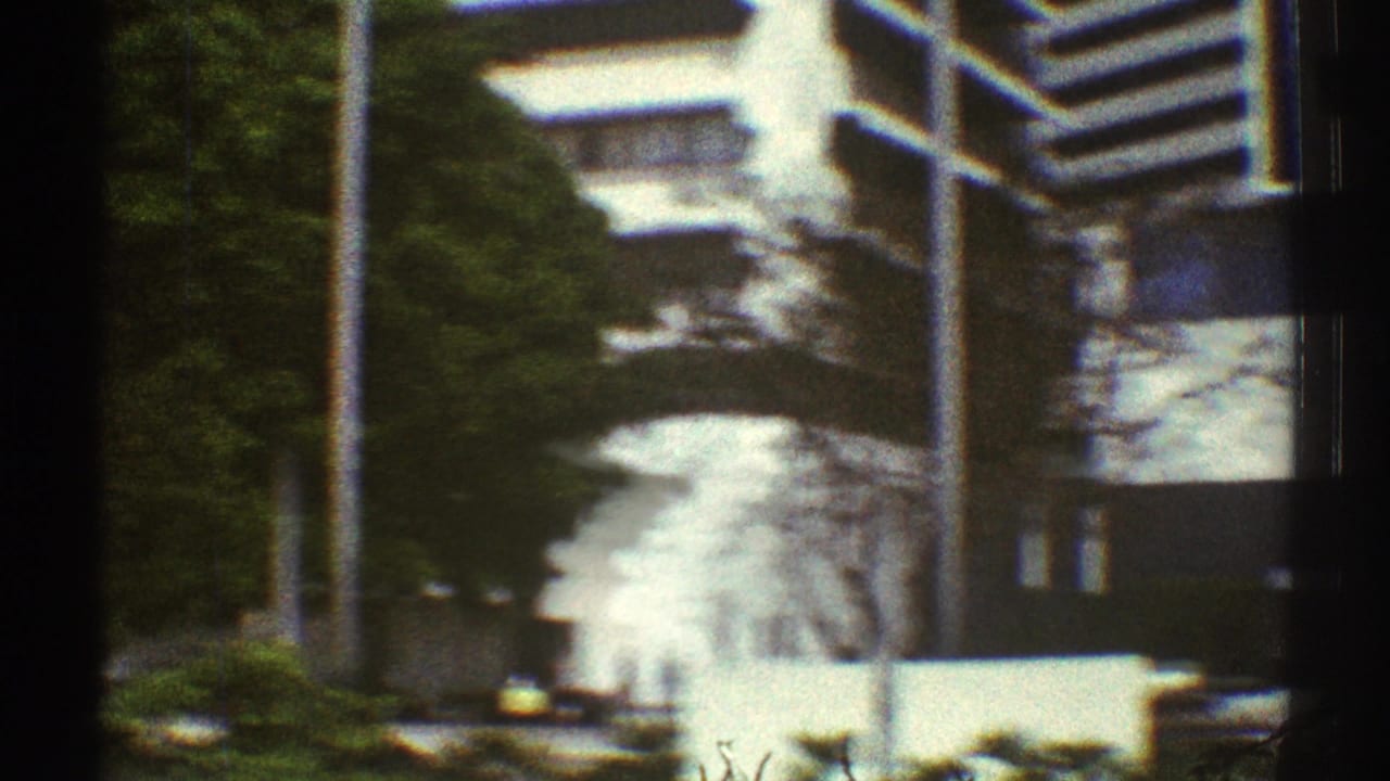 Tree-lined Los Angeles street with a large white modern building behind passing cars.
