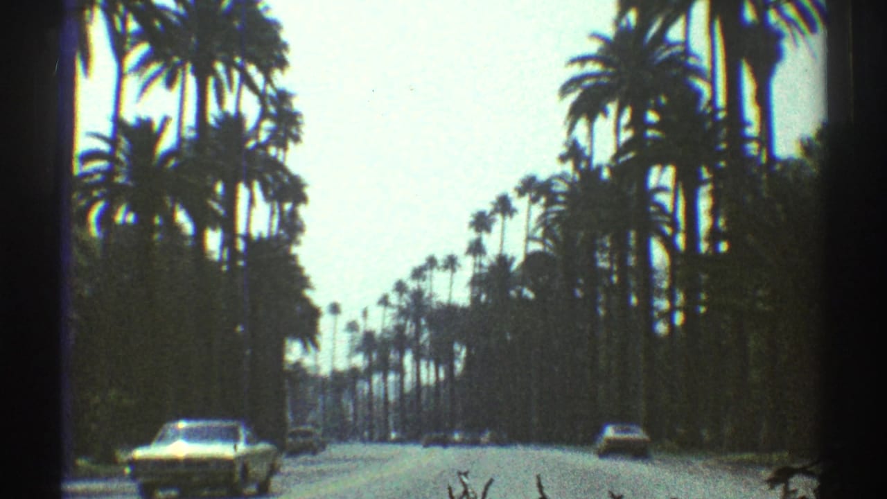 Palm-lined road with cars under a hazy sky.