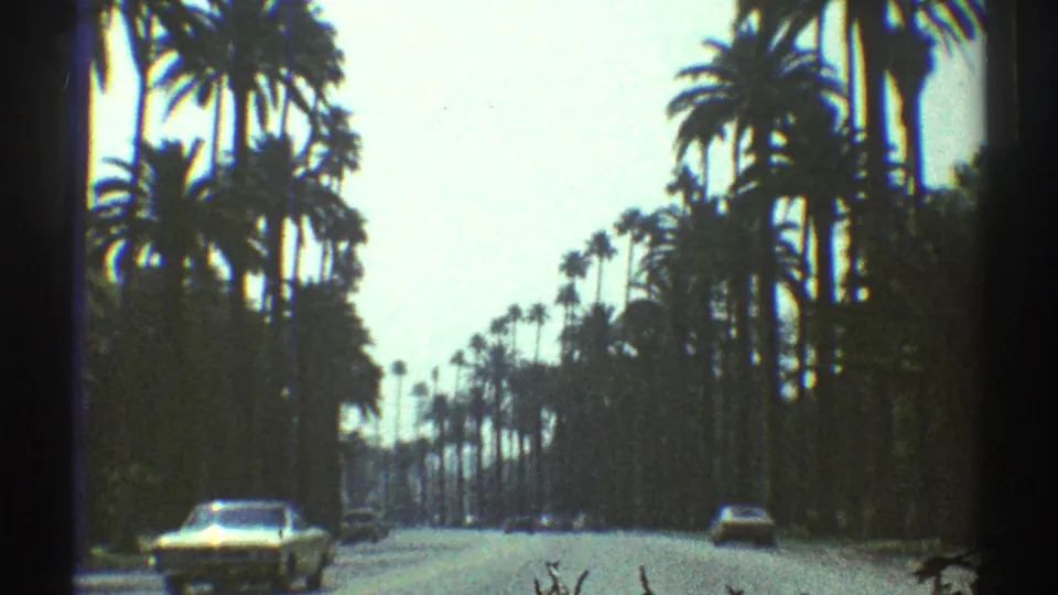 1969 Los Angeles 8mm frame showing a broad palm-lined road with cars traveling through a hazy, sunlit street scene.