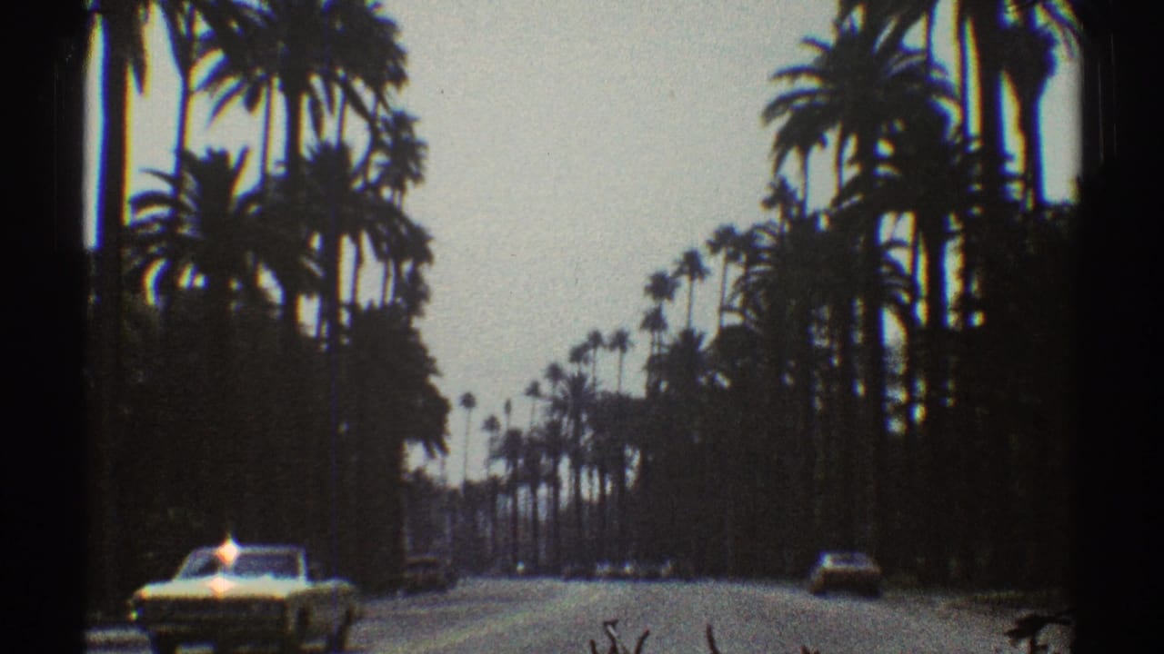 Car on a palm-lined roadway with dense trees at the sides.