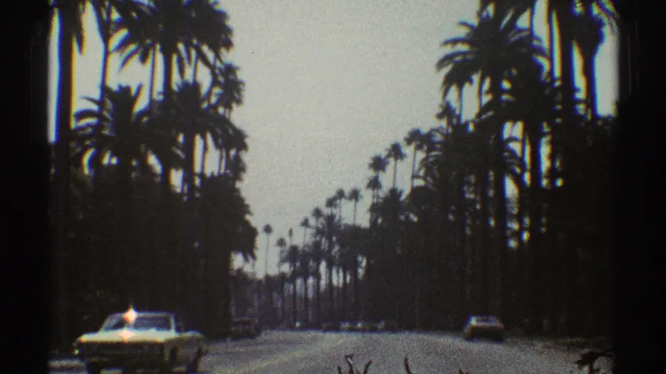 1969 Los Angeles street view with a car in the foreground, another car farther ahead, and rows of tall palms framing the road.