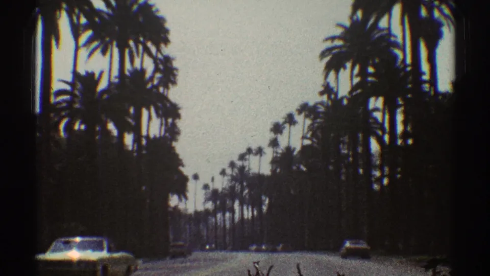 Soft 8mm view of a Los Angeles palm-lined road in 1969, with cars spaced along the street and heavy tree shadows near the frame edges.