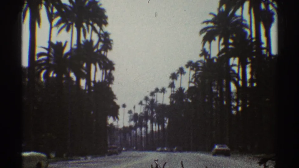 Late-1960s 8mm frame of a Los Angeles roadway lined with tall palms, with a car receding into the right side of the street.