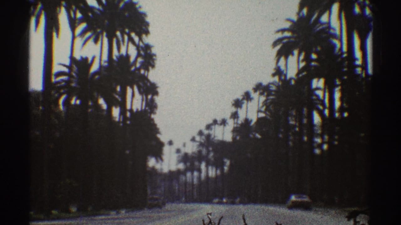 1969 Los Angeles home-movie frame showing a quiet palm-lined roadway with sparse distant traffic and soft 8mm grain.