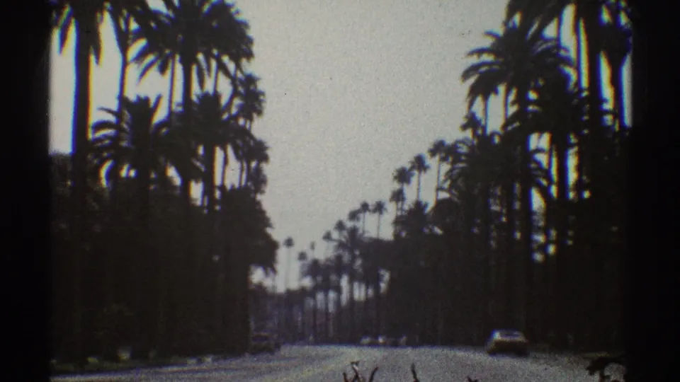 1969 Los Angeles home-movie frame showing a quiet palm-lined roadway with sparse distant traffic and soft 8mm grain.