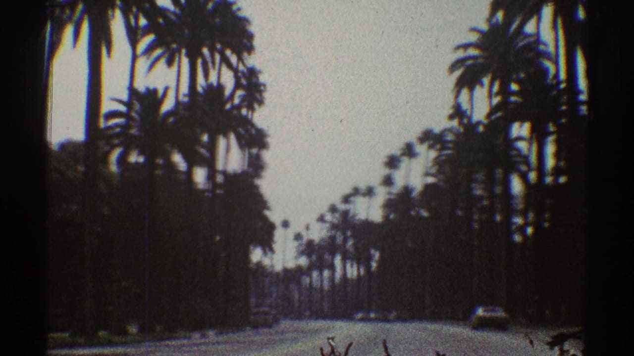 Palm trees border a quiet road with a car near the right side.