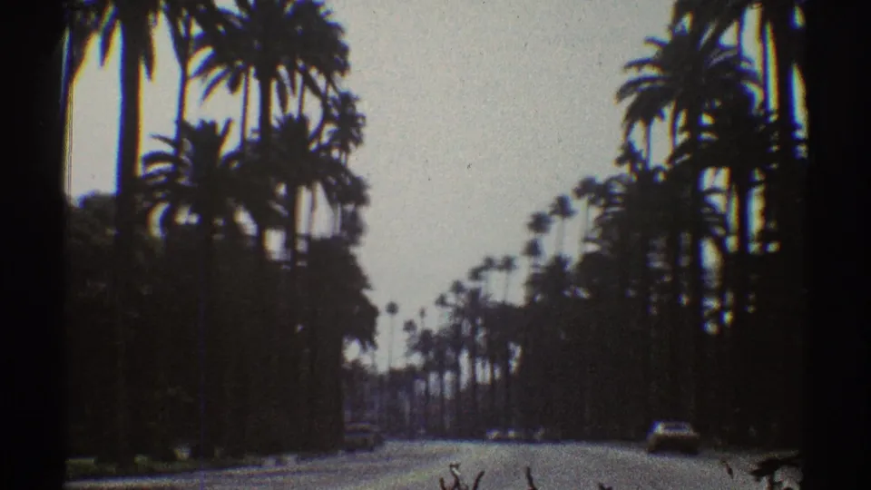 A Los Angeles palm-lined road appears in soft 8mm focus, with a car near the right edge and more traffic far ahead.