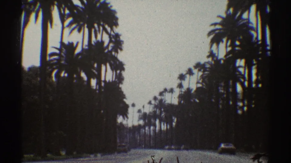 The 1969 Los Angeles street view continues, with tall palms on both sides and distant cars softened by home-movie focus.