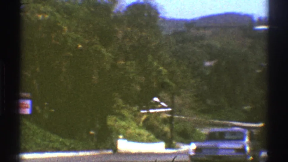 1969 Los Angeles suburban view showing a blue car near a driveway, dense trees and shrubs, a small roofline, and distant hillside greenery.