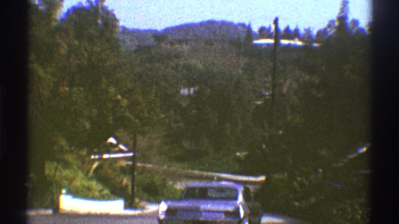 Tree-lined road with a light sedan near a white curb and distant hillside.