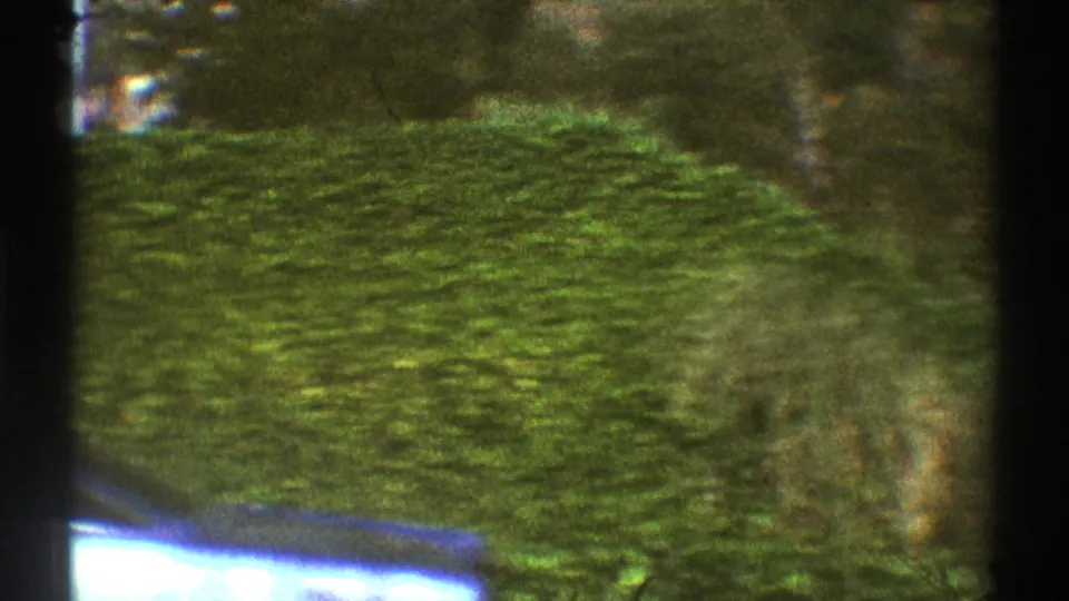 1969 Los Angeles home-movie frame focused on a tall hedge and landscaped residential frontage along the road.