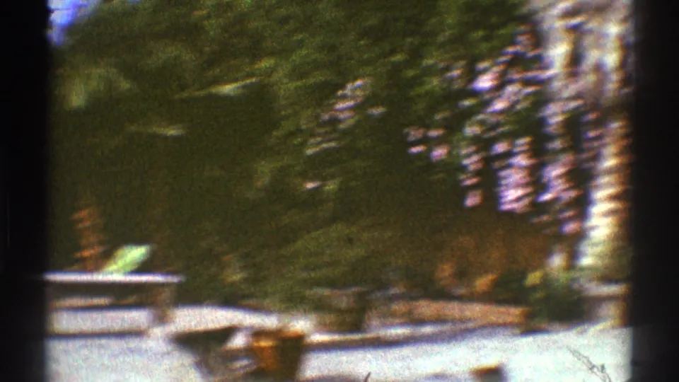 Handheld 1969 Los Angeles poolside frame with motion blur, patio paving, greenery, a palm trunk, and lounge furniture.
