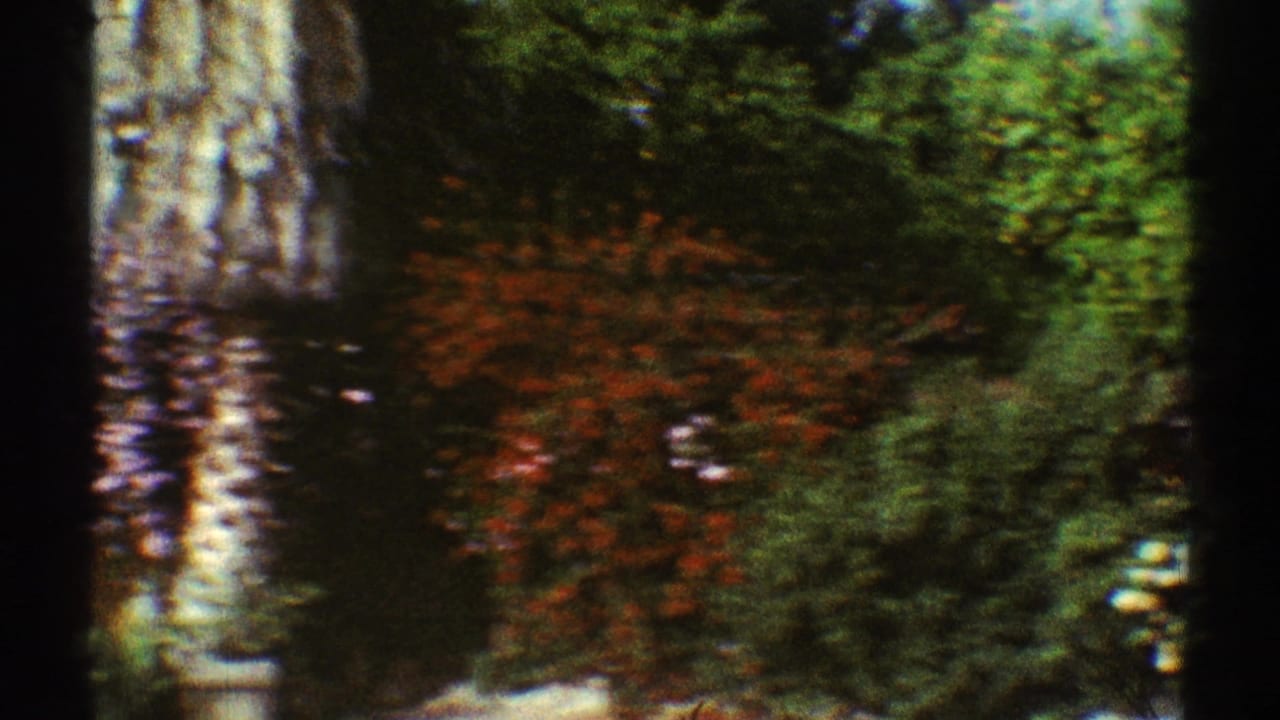 1969 Los Angeles 8mm frame of a soft-focused garden with a tree trunk, red flowers, dense greenery, and dark film-edge obstruction.