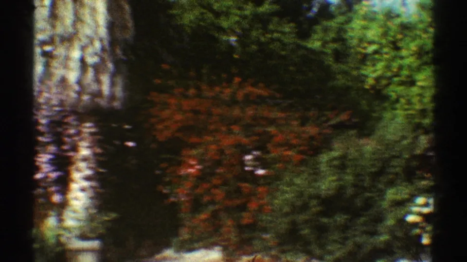 1969 Los Angeles 8mm frame of a soft-focused garden with a tree trunk, red flowers, dense greenery, and dark film-edge obstruction.
