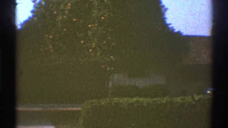 Late-1960s Los Angeles garden frontage with soft 8mm texture, a hedge, masonry wall, trees, and a partly cropped parked car.