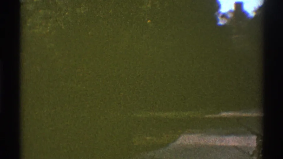 Soft 8mm view across a Los Angeles suburban garden, with dense greenery, a hedge line and a partly obscured roof.