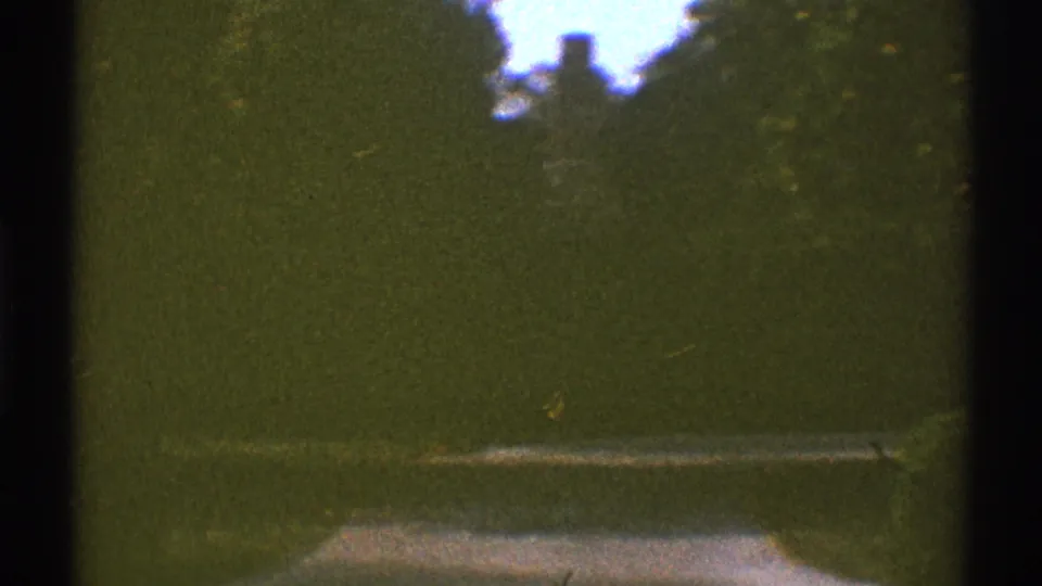 1969 home-movie frame of a shaded Los Angeles yard, with a hedge, trees, path edge and distant house shape.