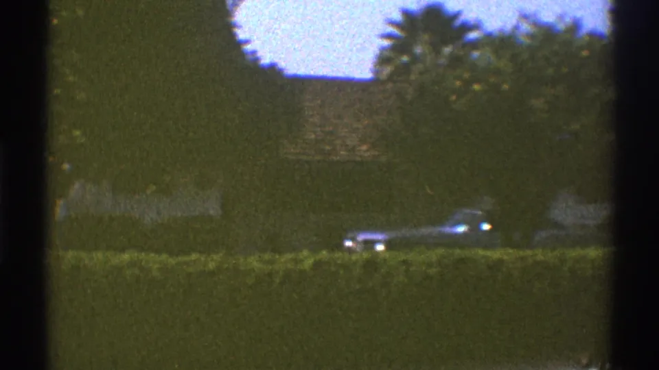 1969 Los Angeles suburban view with hedges, roofline, trees and a partly visible parked car near the lower right.