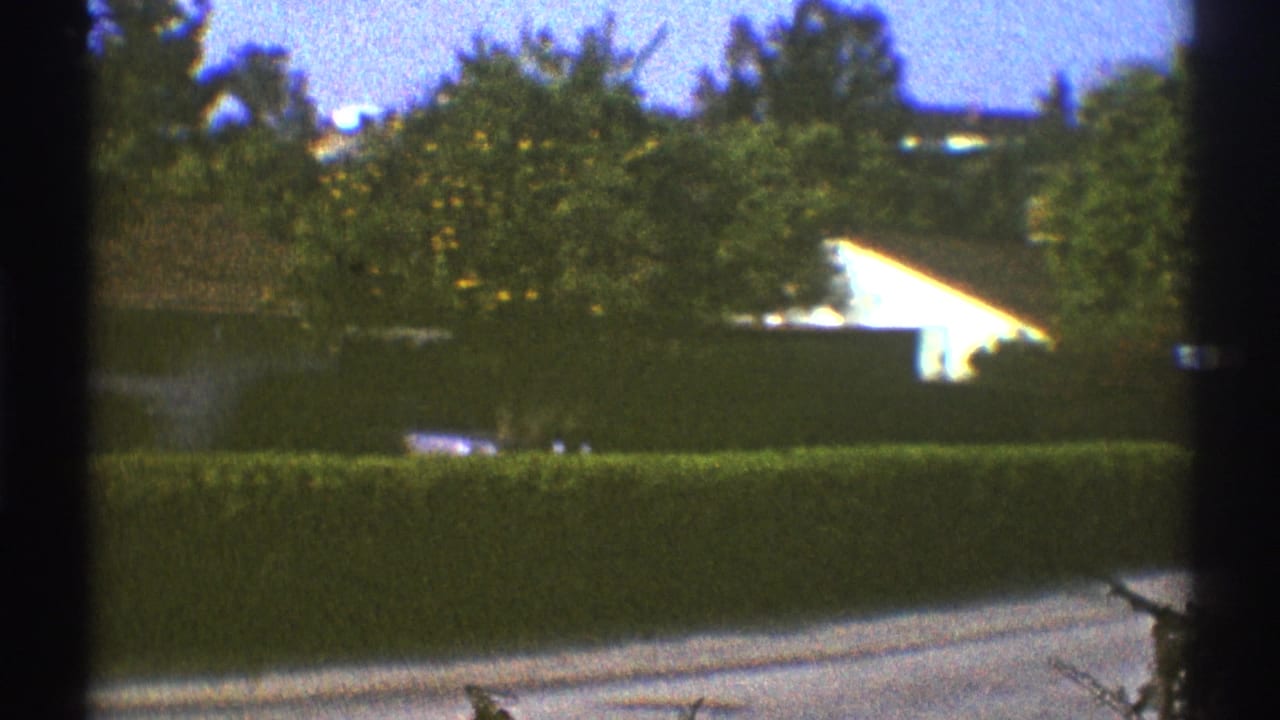 Hedge-lined residential street with trees and a bright roofline in the distance.