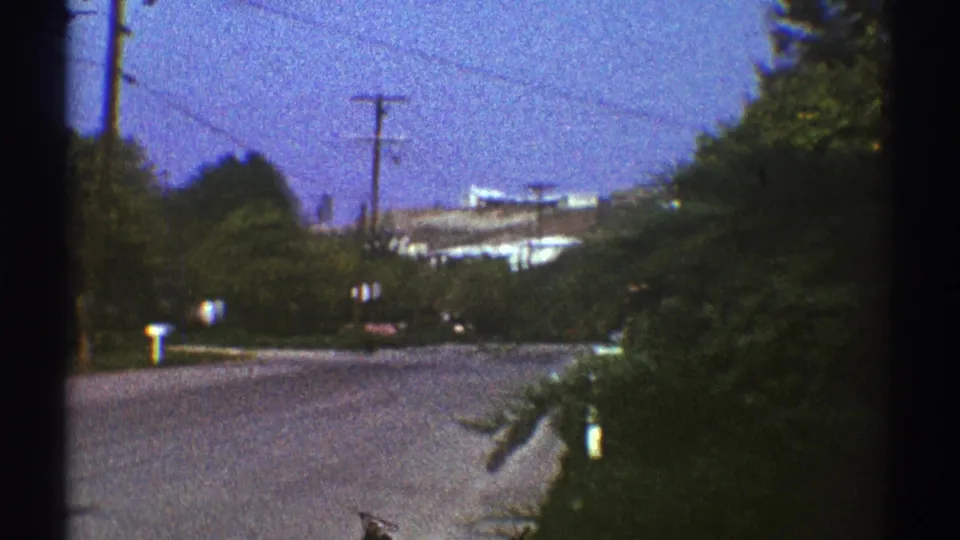 1969 Los Angeles street view with trees, hedges, utility poles, cars, and a distant light-colored structure beyond the road.