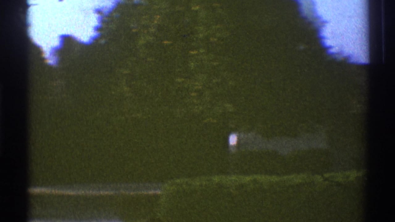1969 Los Angeles home-movie frame showing dense trees and hedges near a quiet paved edge, with soft focus and dark film borders.