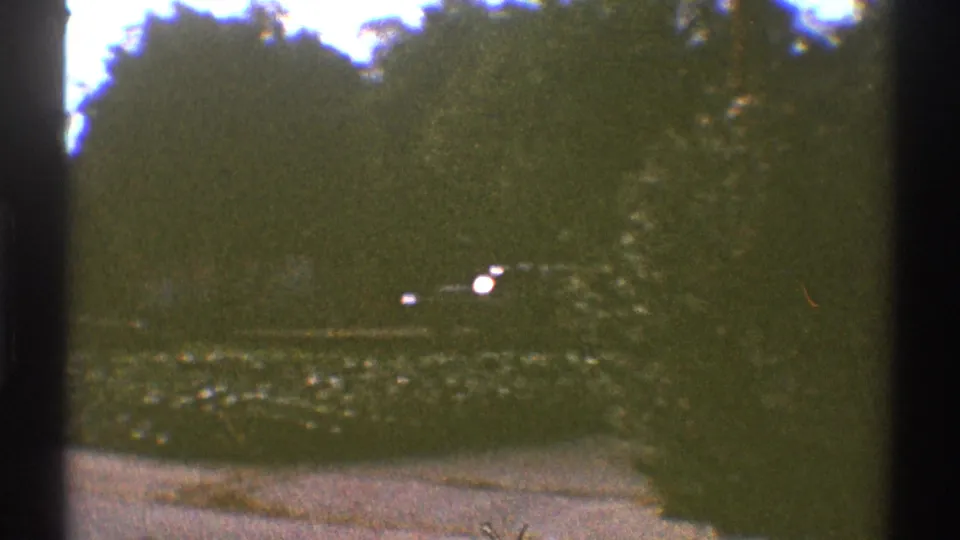 1969 Los Angeles home-movie view of hedges, trees, and a paved foreground, with small bright distant points near the greenery.