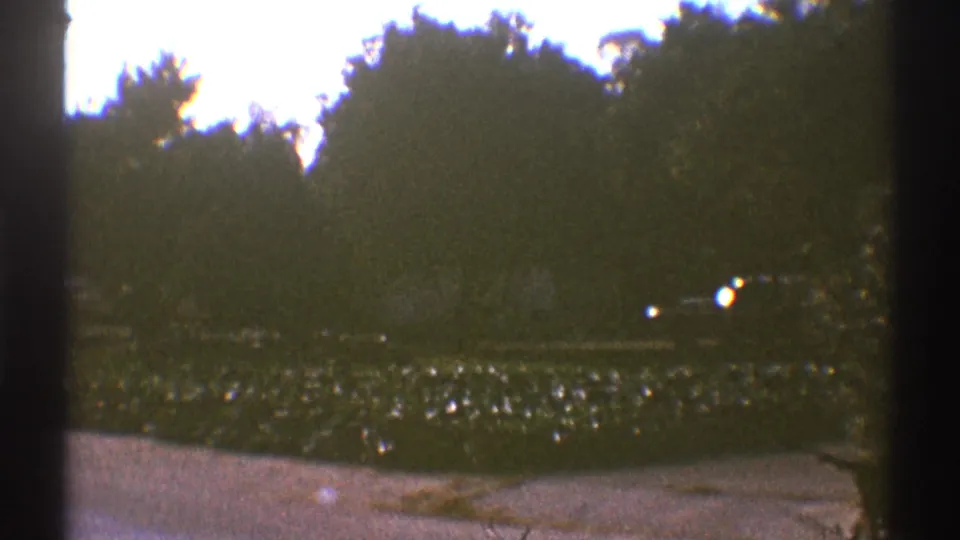 1969 Los Angeles frame showing a quiet paved edge, low hedges, mature trees, and small distant light spots through soft 8mm texture.