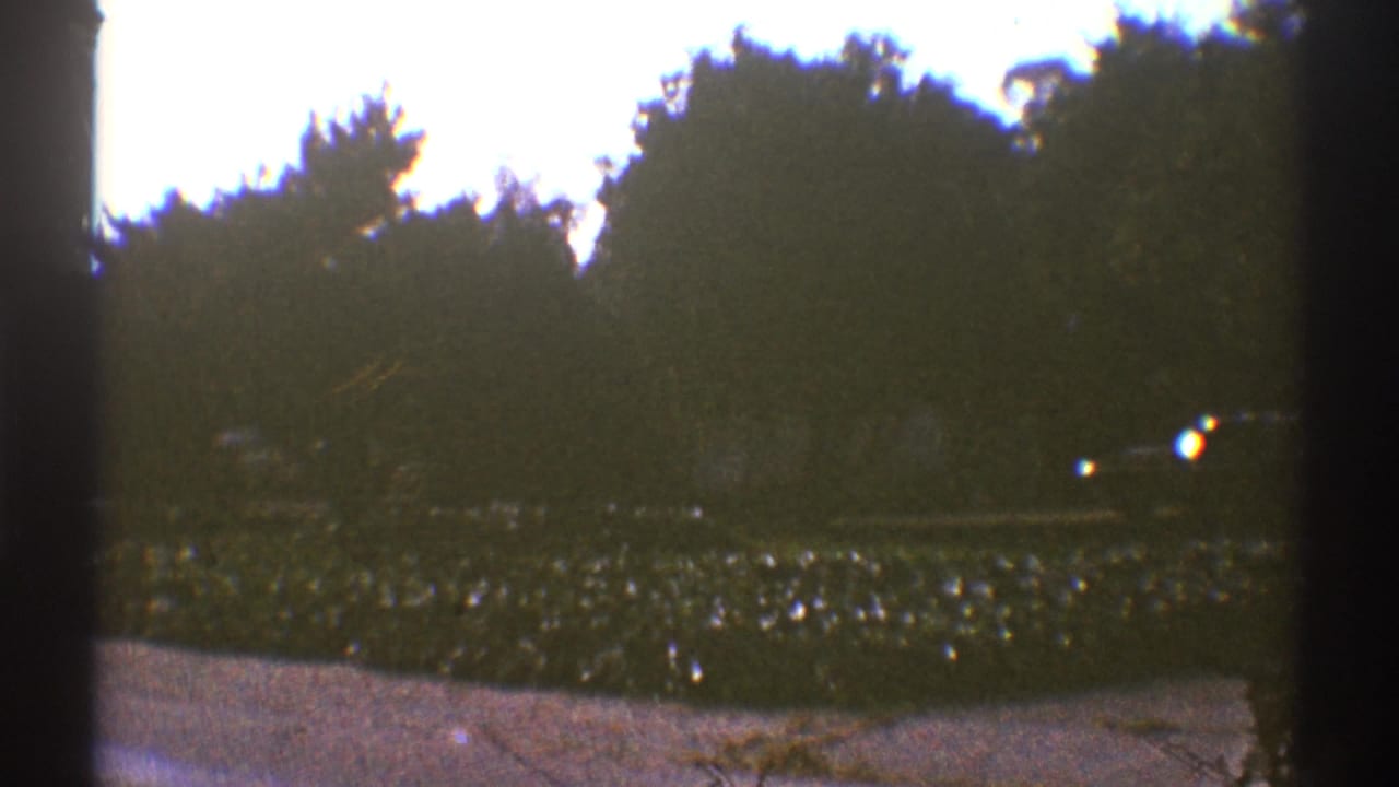 1969 Los Angeles 8mm frame showing a shaded garden edge, low hedges, tree silhouettes, bright sky, and visible film borders.
