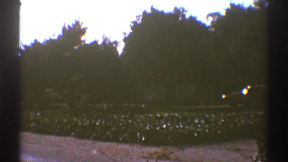 1969 Los Angeles 8mm frame showing a shaded garden edge, low hedges, tree silhouettes, bright sky, and visible film borders.