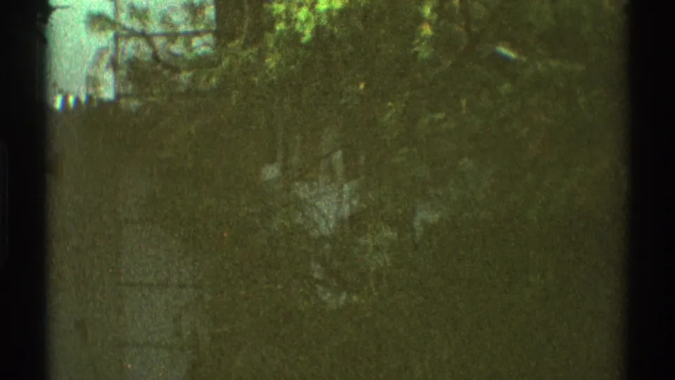 1969 Los Angeles garden foliage appears through greenish 8mm exposure, with trees and dense leaves partly obscured by gate shadow.