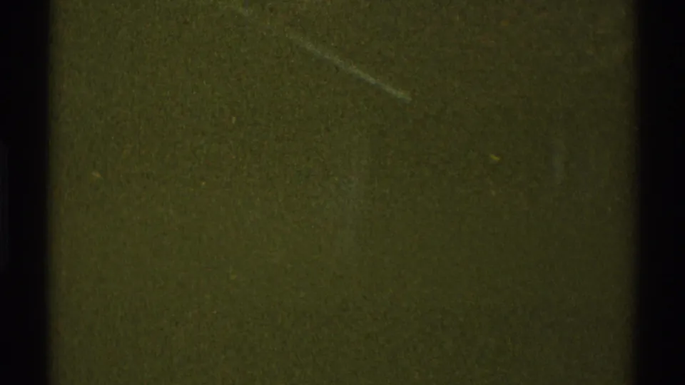 Green-tinted 8mm frame with heavy grain, black vertical division, and faint scratch marks before the driveway view appears.