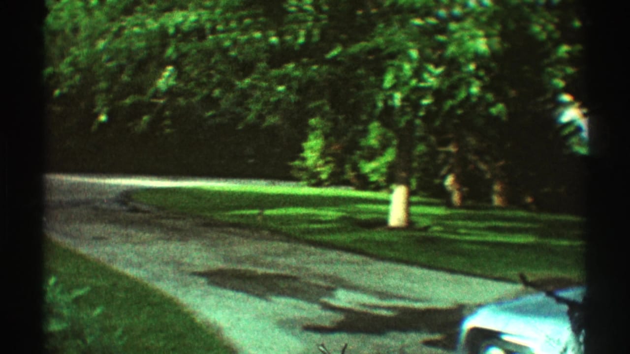 Tree-lined residential street with lawn and part of a blue car entering frame.